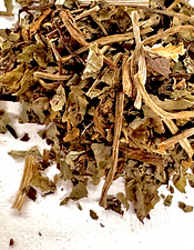 Gotu Kola