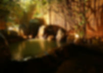 1R4A4305.JPG