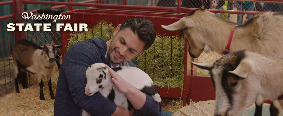 WSF Module Header 2.jpg