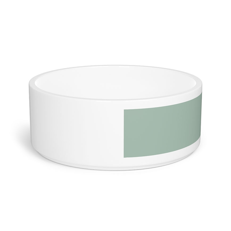 Miniaturbild: Pet Bowl by Agatha - Light Mint