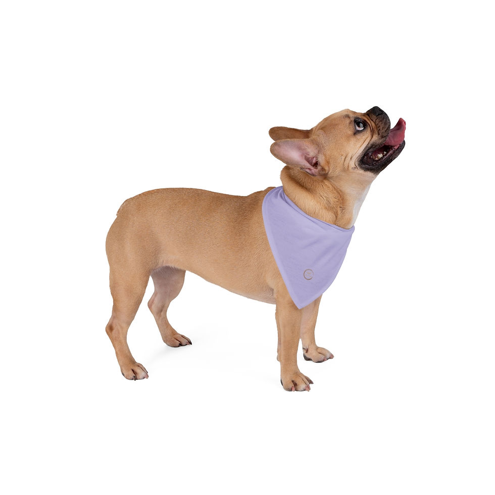Miniaturbild: Pet Bandana by Agatha - Lilac