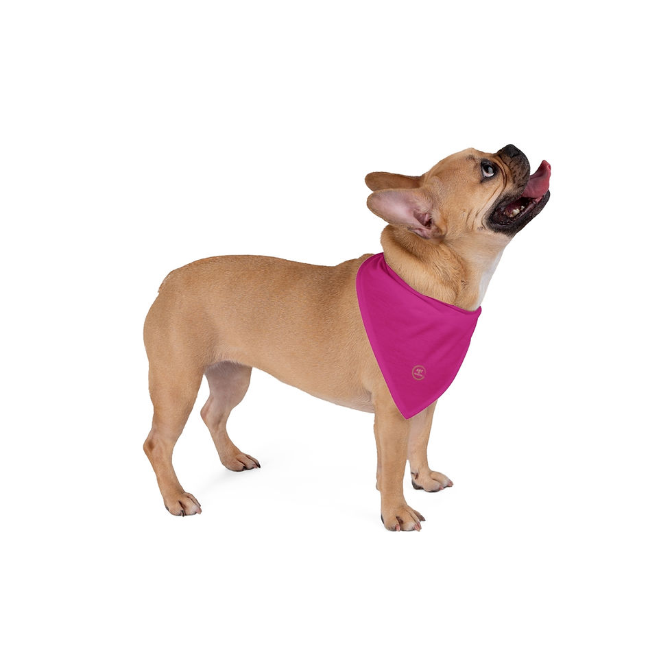 Thumbnail: Pet Bandana by Agatha - Strong Pink
