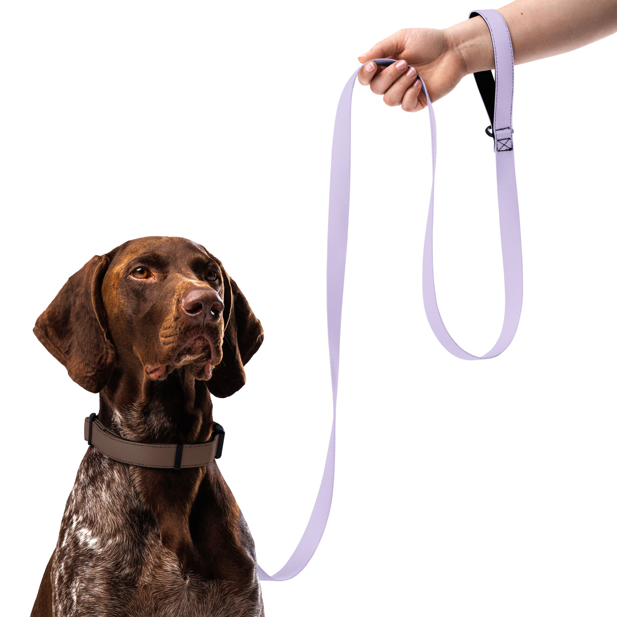 Pet Leash by Agatha - Fog