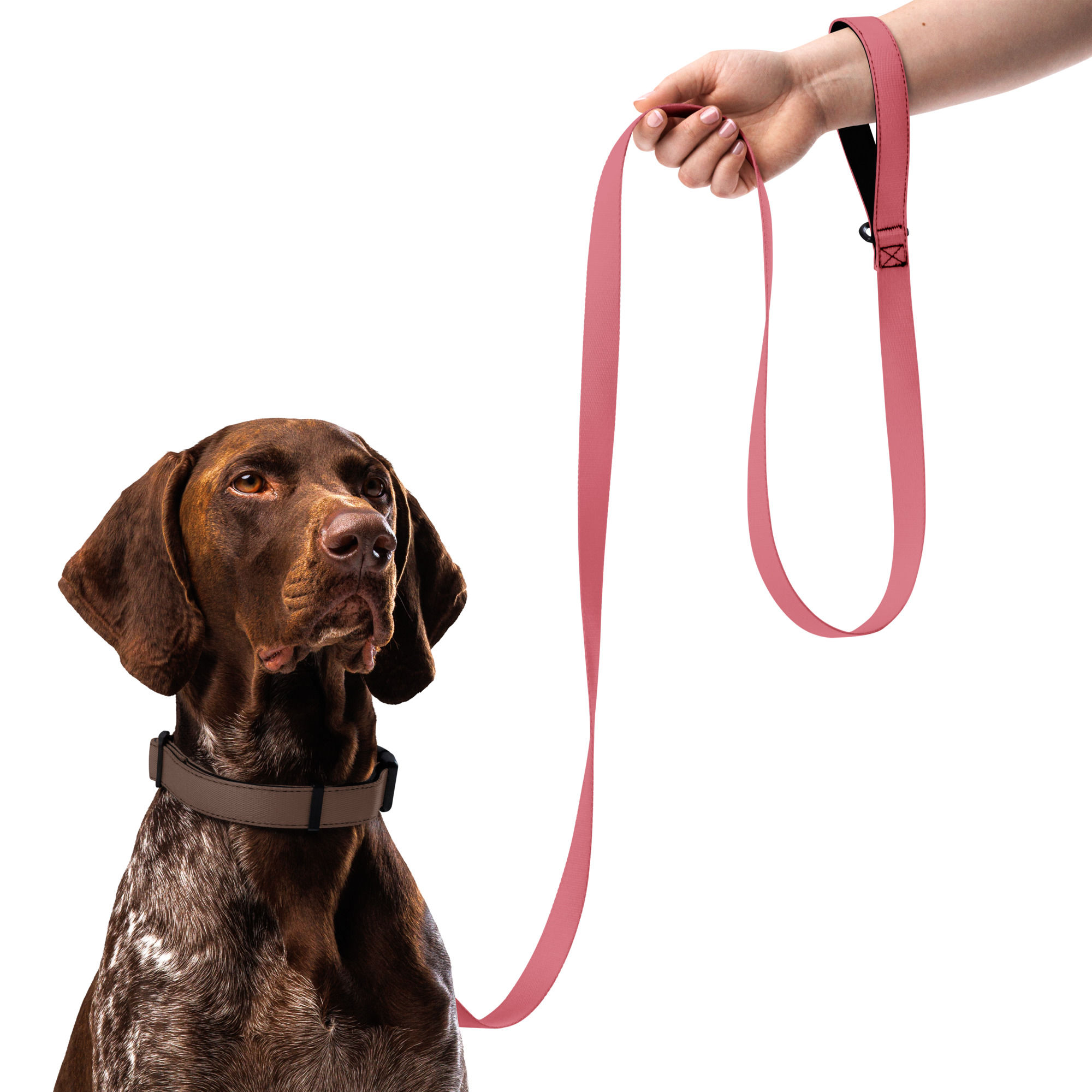 Pet Leash by Agatha - Kabarett