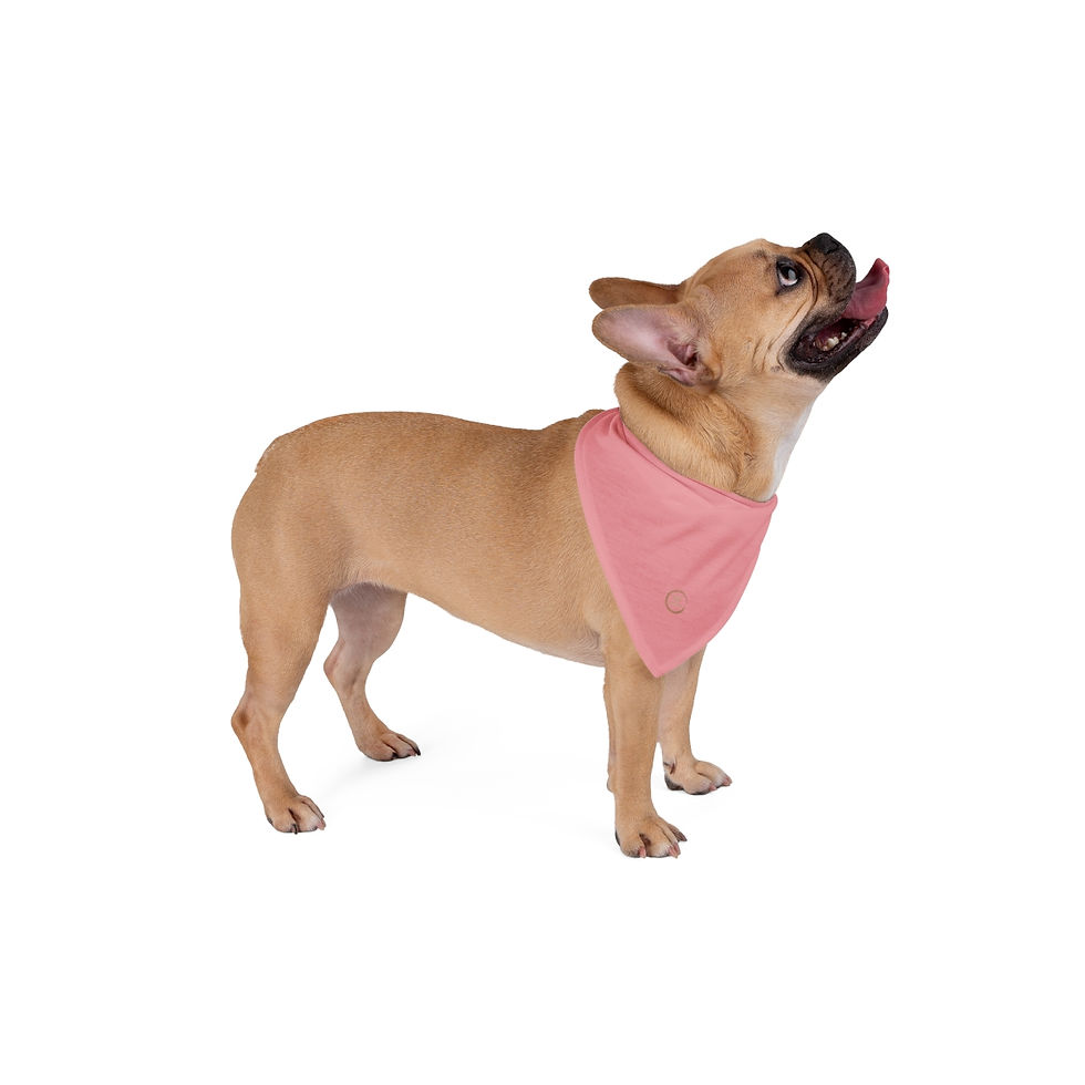 Miniaturbild: Pet Bandana by Agatha - Rose