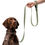 Thumbnail: Pet Leash by Agatha - Finch