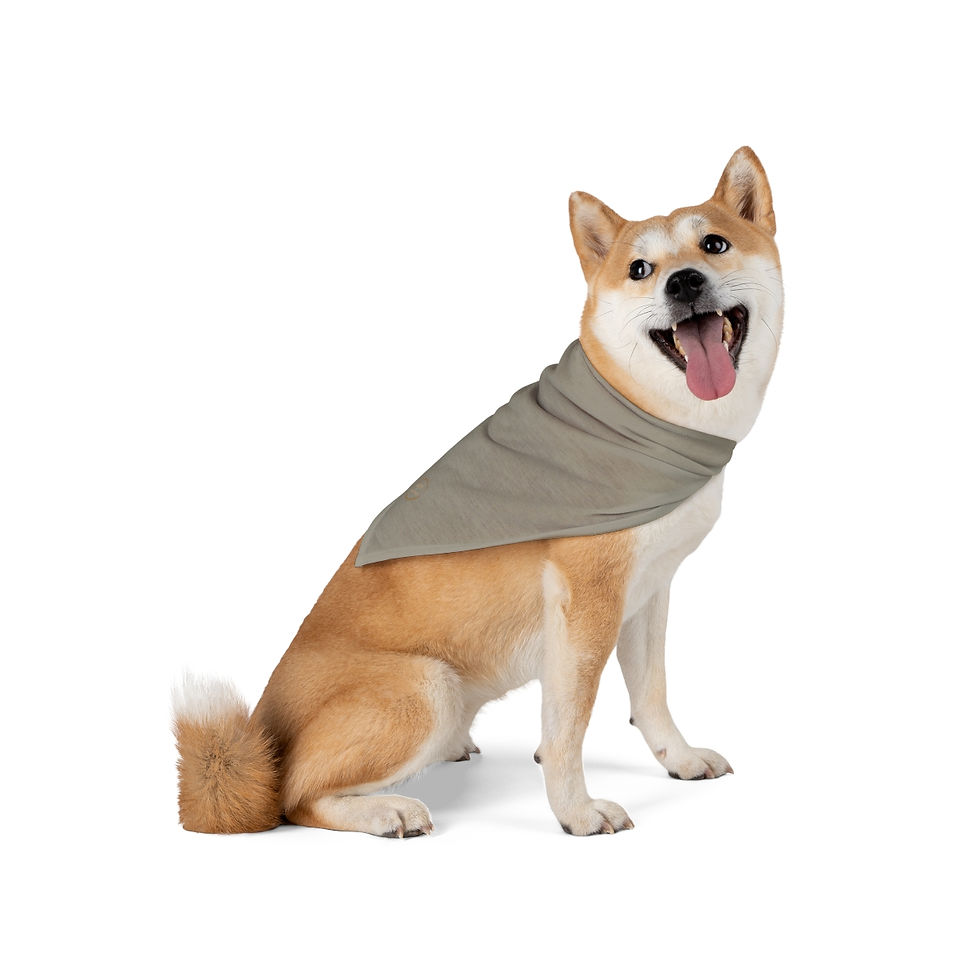 Thumbnail: Pet Bandana by Agatha - Maude