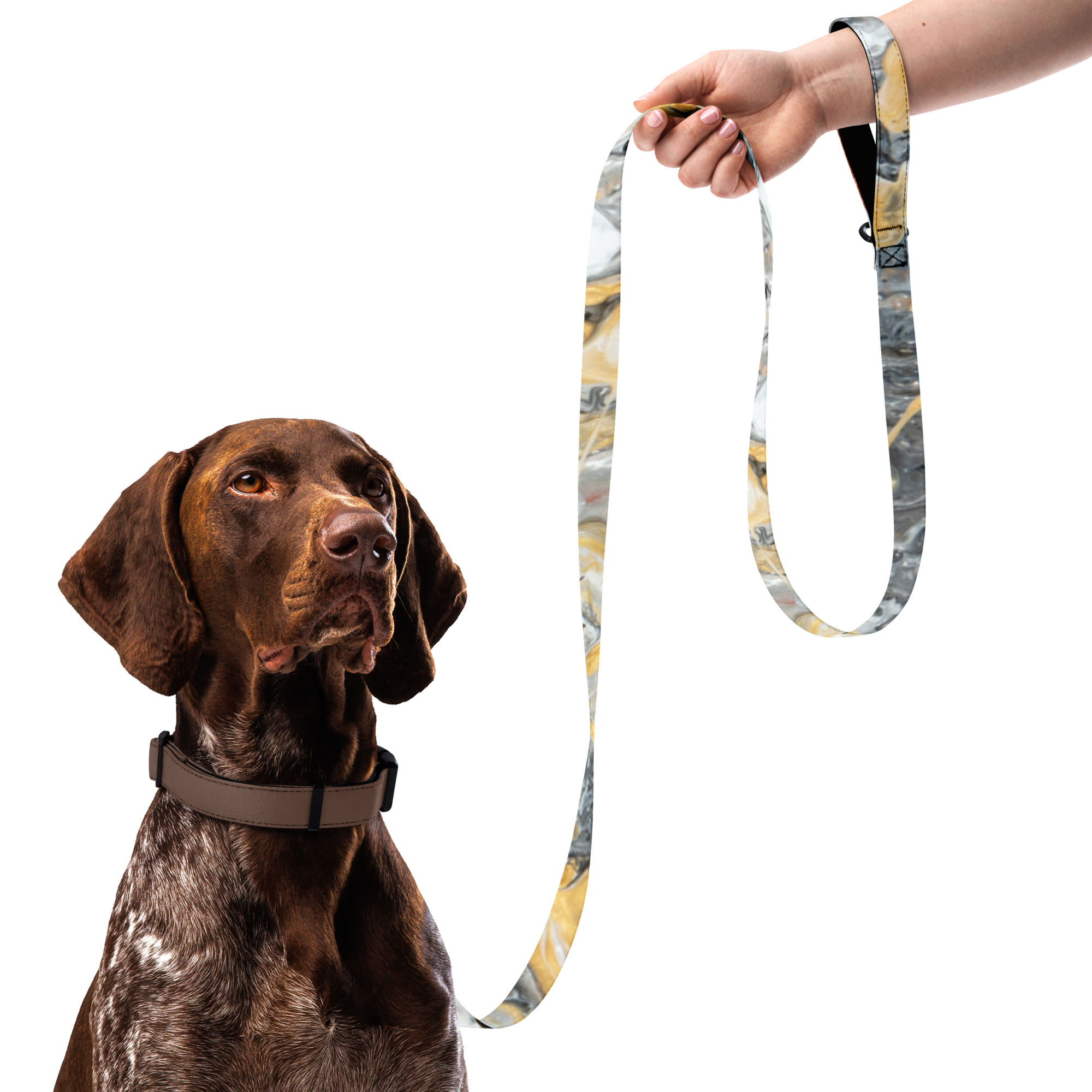 Pet Leash by Agatha - Metallic Strength