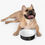 Thumbnail: Pet Bowl by Agatha - Black