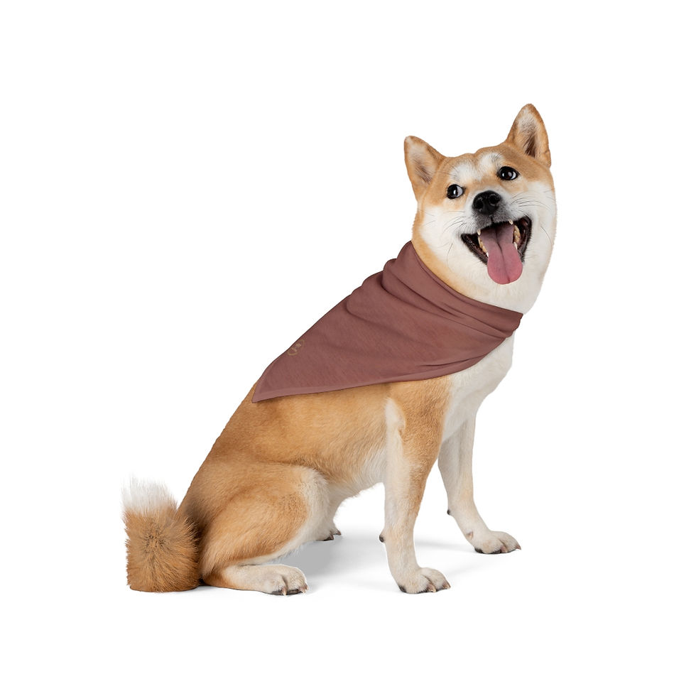 Miniaturbild: Pet Bandana by Agatha - Aubergine