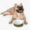 Thumbnail: Pet Bowl by Agatha - Moss Green