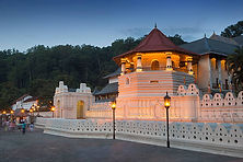 istockphoto-502631824-612x612.jpg Touch of Sri Lanka customizable tour glimpsesofceylon