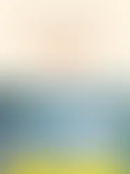 Il pleut sur la parade de Lucie-Anne Belgy