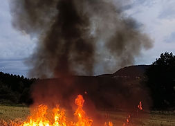 20.08.2025 Montasübung Vegetationsbrand FF Gutau 01.jpg