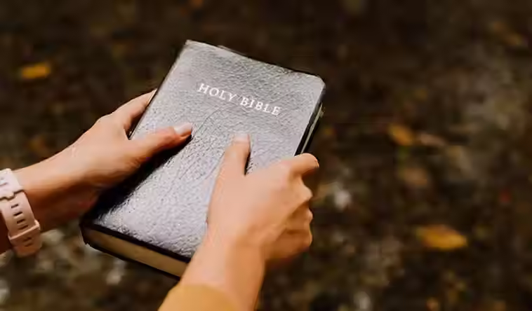 Image by Priscilla Du Preez 🇨🇦 (1).avif