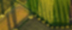nsplsh_c023733b7b0a470c8f6ea9a5dd33aa38~mv2.jpeg