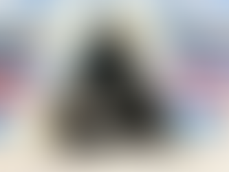 5月3日(火)ご来店のうさちゃん