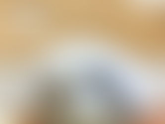 ご家族が決まりました