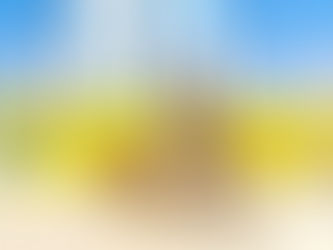 3月12日(土)ご来店のうさちゃん