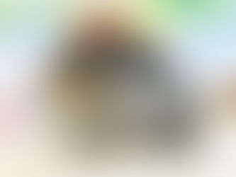 モフ吉大先生ちゃん