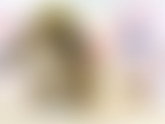 2月12日(土)ご来店のうさちゃん