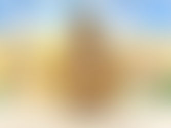 7月2日(土)ご来店のうさちゃん