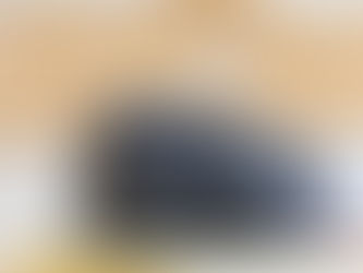 ブルートートちゃんのご家族が決まりました