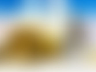 ルーフくん＆つみれちゃん