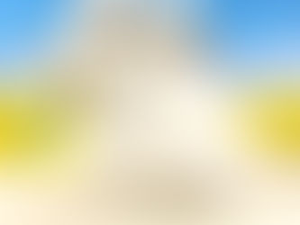 3月16日(水)ご来店のうさちゃん