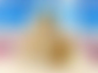 11月5日(土)ご来店のうさちゃん