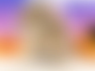 10月13日(木)ご来店のうさちゃん