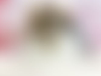 2/28(月)・3/2(水)ご来店のうさちゃん