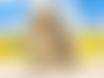 3月5日(土)ご来店のうさちゃん