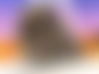 10月29日(土)ご来店のうさちゃん