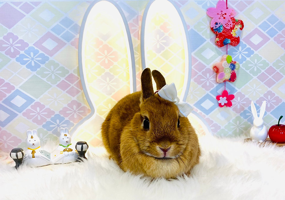 ニコハピ☆あくびちゃん様♡ありがとうございます♡ ノート・メモ帳