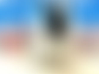 11月2日(水)ご来店のうさちゃん