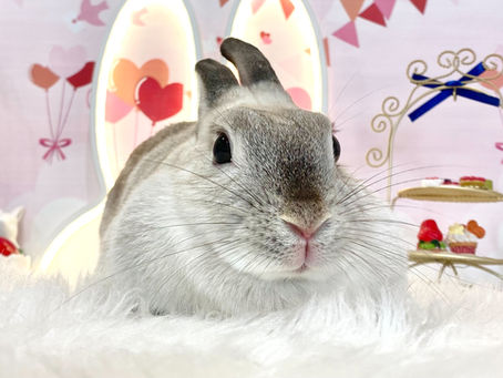 美人姉妹👭💖