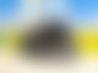 3月20日(日)ご来店のうさちゃん