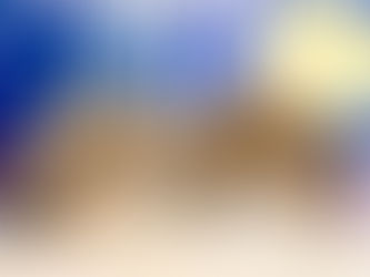 4月4日(月)・4月6日(水)ご来店のうさちゃん