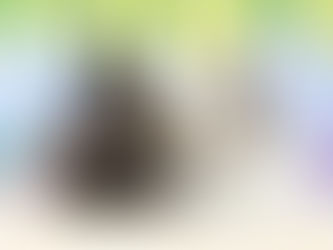 6月24日(金)ご来店のうさちゃん