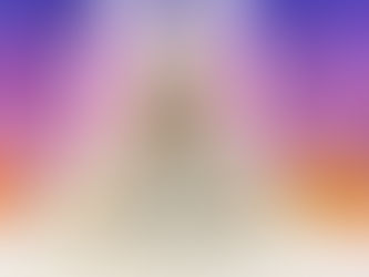 10月24日(月)ご来店のうさちゃん