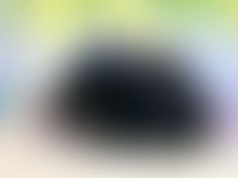 6月29日(水)・6月30日(木)ご来店のうさちゃん