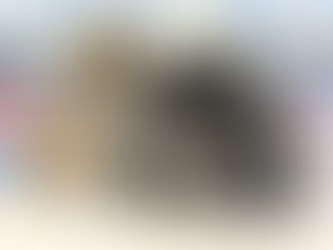 5月2日(月)ご来店のうさちゃん