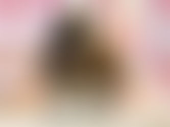 うさまるちゃん🎂