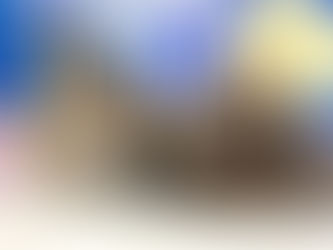 5月1日(日)ご来店のうさちゃん