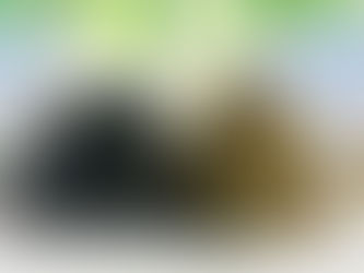 PJくん＆Rolaちゃん