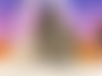 10月23日(日)ご来店のうさちゃん