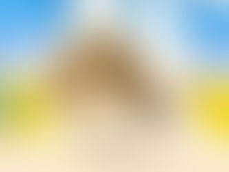 3月19日(土)ご来店のうさちゃん