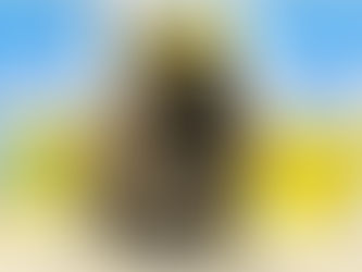 3月6日(日)ご来店のうさちゃん