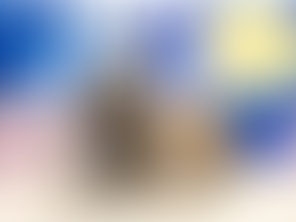 4月25日(月)ご来店のうさちゃん